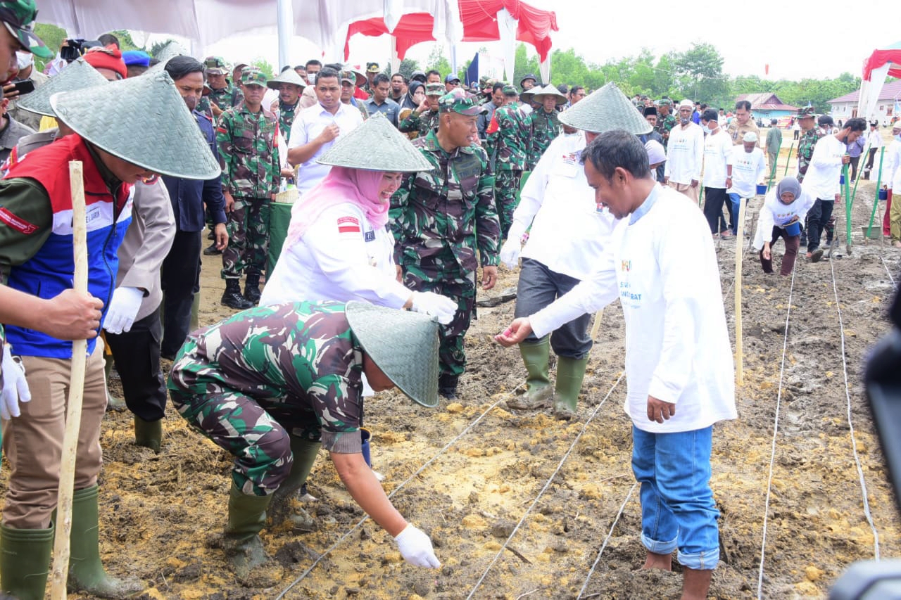 Dukung Ketahanan Pangan Nasional, TNI AD Bersama PHR Olah 100 Ha Lahan ...